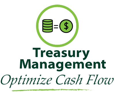 Treasury Management. Optimize cashflow.